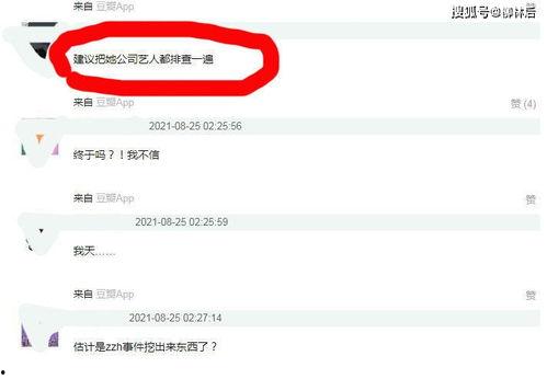 吃瓜明星专栏官网,吃瓜明星专栏官网带你探秘明星幕后生活