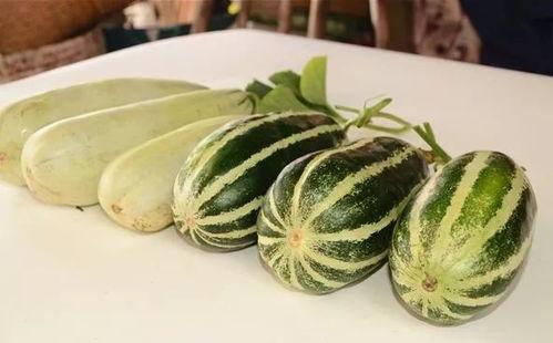 东北吃瓜网红叫什么,揭秘东北美食界的“瓜王”传奇