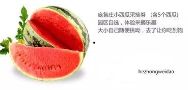 娱乐吃瓜封面如何做的好看,打造吸睛视觉盛宴的五大秘籍