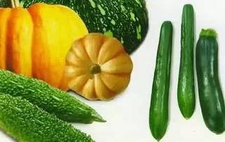 济宁吃瓜网,揭秘济宁本土美食与趣事