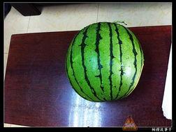 52 吃瓜网,揭秘娱乐圈最新热点，带你畅游八卦海洋